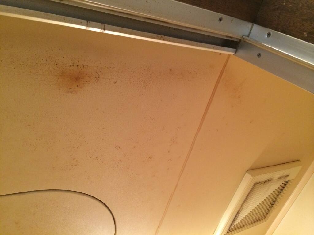 �������j�b�g�o�X�����̉��΂�