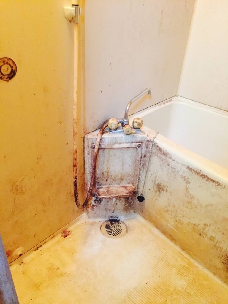 �������j�b�g�o�X�����̉��΂�