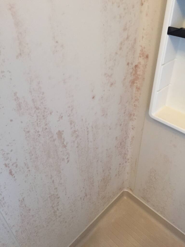 浴槽の黒ずみカビ