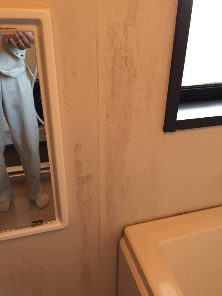 浴槽の黒ずみカビ