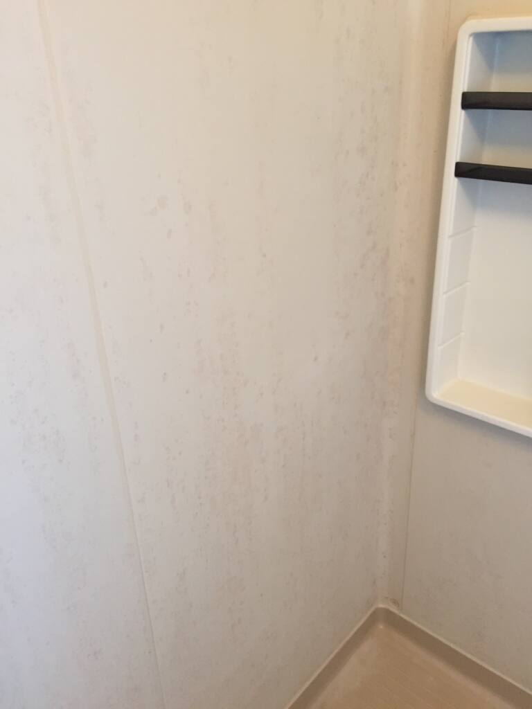 浴槽の黒ずみカビ