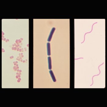 �����R�[�e�B���O�@�{�H��