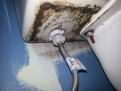 �����R�[�e�B���O�@�{�H��