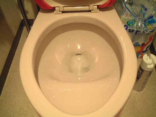 水回りコーティング便器