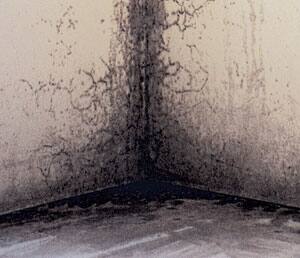 �����R�[�e�B���O�@�{�H��