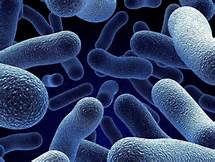 �����R�[�e�B���O�@�{�H��